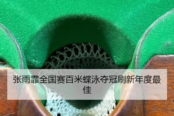 张雨霏全国赛百米蝶泳夺冠刷新年度最佳