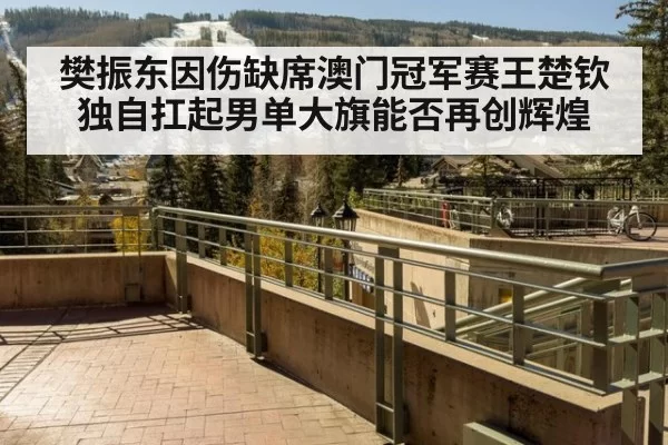 樊振东因伤缺席澳门冠军赛王楚钦独自扛起男单大旗能否再创辉煌