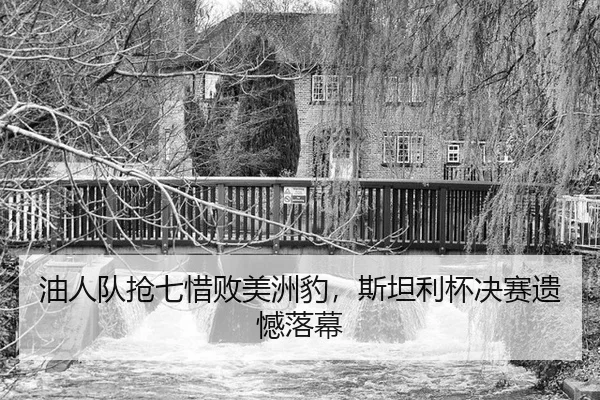 you-ren-dui-qiang-qi-xi-bai-mei-zhou-bao-si-tan-li-bei-jue-sai-yi-han-luo-mu-2-367.jpg