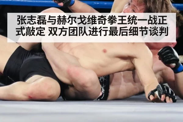 张志磊与赫尔戈维奇拳王统一战正式敲定 双方团队进行最后细节谈判
